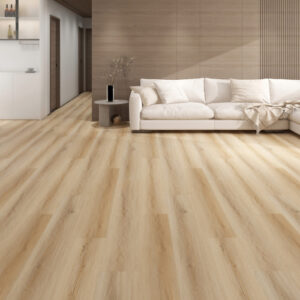 EIR Collection FS001